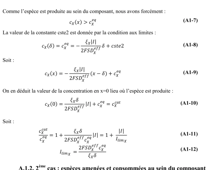 Figure A1-3 : Conventions et notation adoptées pour une espèce Y amenée et  consommée au sein du composant à travers une couche 
