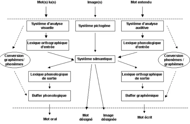 Figure 1 : Modèle de référence de la BETL version écrite [adaptation du modèle de Caramazza  et Hillis (1990)]