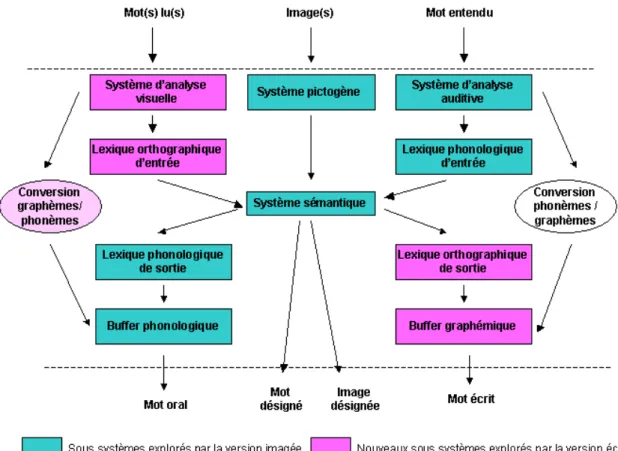 Figure 18 : Apports de la version écrite de la BETL sur l'étude des traitements lexicaux d'après  le modèle de référence de la BETL 