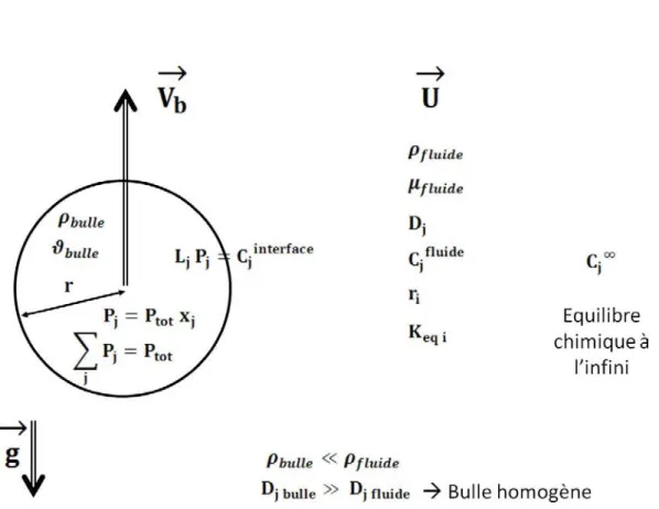 Figure 2.5 – Description des propriétés physiques et chimiques des deux phases.