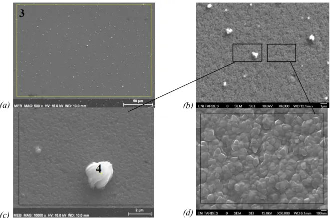 Figure 21 : Micrographies de la surface des dépôts Si/Al obtenues par microscopie électronique  à balayage
