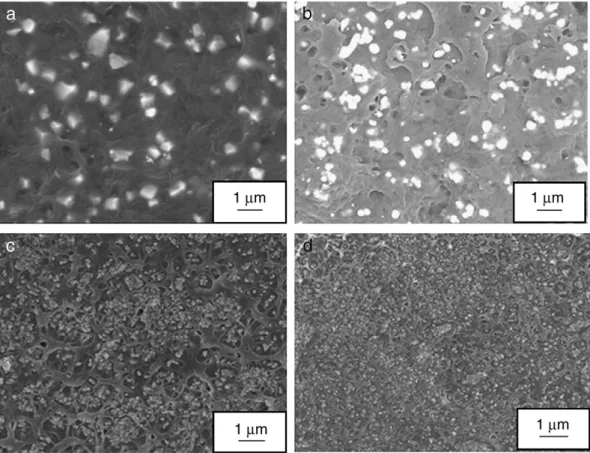 Fig. 1. Scanning electron microscope (SEM) images of PA 11/BaTiO 3 composites with ϕ=12% and particles size of (a) 700 nm, (b) 300 nm, (c) 100 nm and (d) 50 nm.