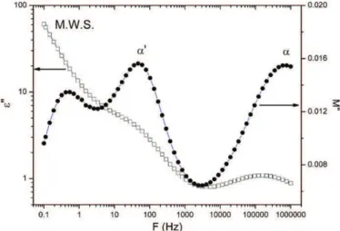 Fig. 3. Real part of the dielectric permittivity versus temperature of PA 11/BaTiO 3 700 nm nanocomposites with ϕ= 58%.