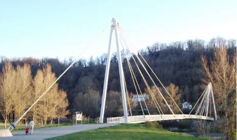 Fig. 1. Picture of the Laroin footbridge.