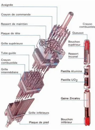 Figure 2. Crayon de combustible et assemblage avec barre de contrôle d'un REP ([4])