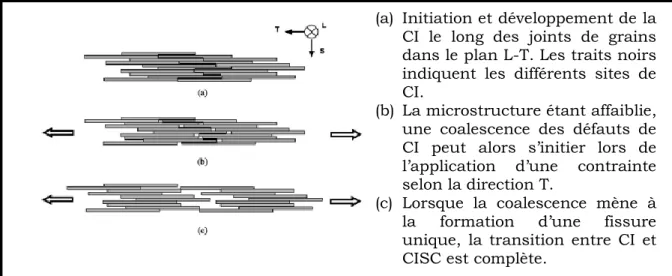 Figure I-11: Schéma représentatif de la transition entre corrosion intergranulaire et  corrosion intergranulaire sous contrainte [LIU-06a]