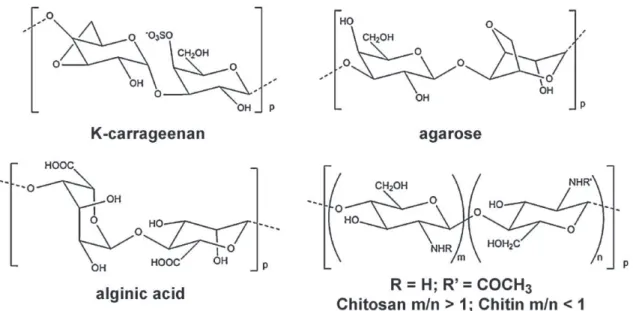 Fig. 1. Repeating modules of gelling polysaccharides.