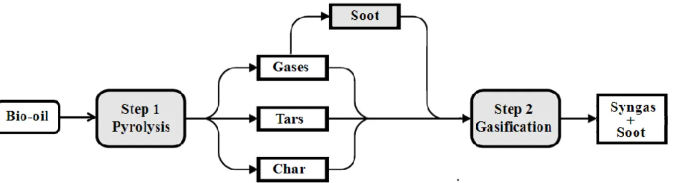 Figure 3. Scheme of the non catalytic gasification of wood bio-oil 