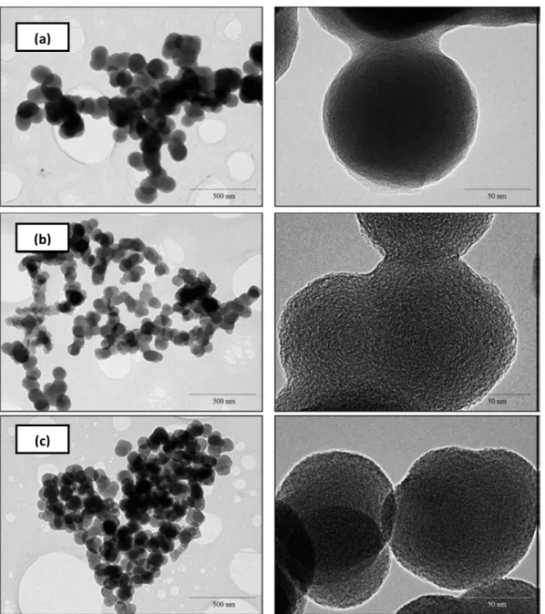 Figure 19. TEM images of the soot samples obtained at different temperatures: (a) 1000°C; 