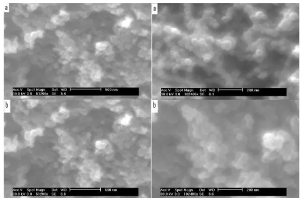 Figure 18. SEM images of the soot samples obtained from acetylene and from bio-oil   pyrolysis at 1200°C