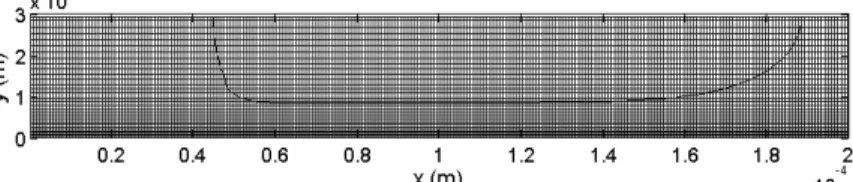 Fig. 1. Illustration of a two dimensional computational mesh. The thick line represents the fictitious interface  obtained with JADIM