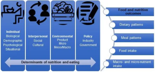 Figure  1.1  The  determinants  and  outcomes  of  nutrition  and  eating  adapted  from  the  DONE Framework ( 20 )