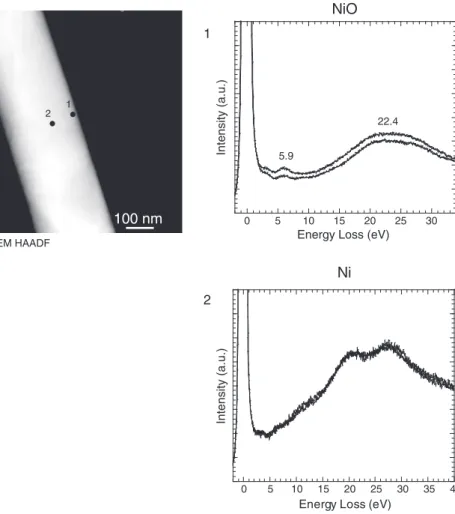 Fig. 4. HAADF STEM image of an oxidized Ni NW. VEEL spectra of NiO and Ni.