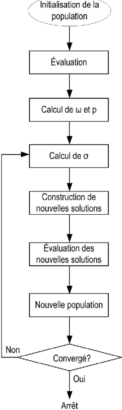 Figure 3.6 : Structure de l’algorithme ACO R 