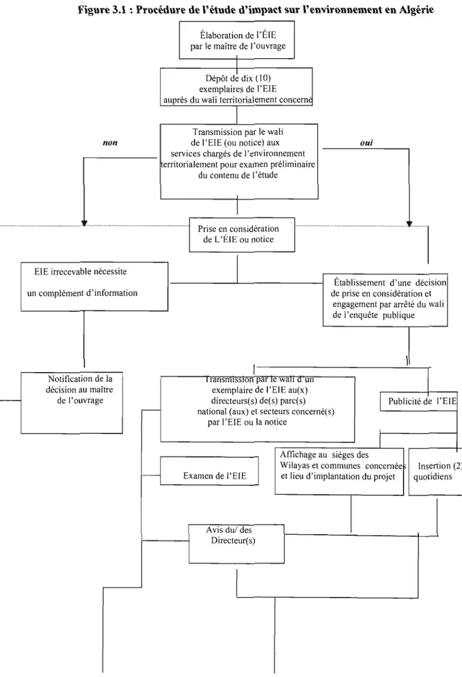 Figure 3.1  : Procédure de l'étude d'impact sur l'environnement en Algérie 