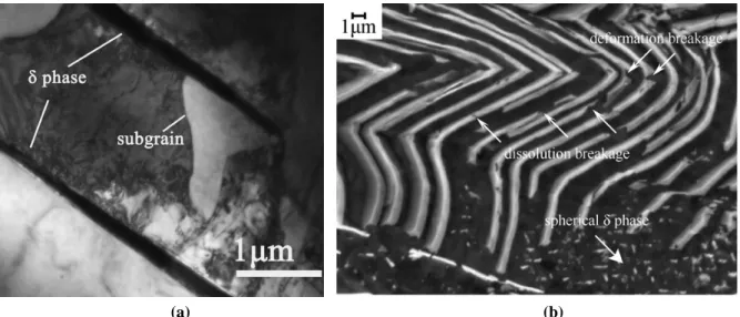 Figure II. 41 : Role of the delta phase in the dynamic recrystallization (a) [Wang et al.,2009], dissolution  breakage and creation of globular delta particles (b) [Zhang et al.]