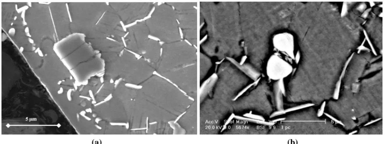 Figure III. 4 : Typical examples of TiC (a) and NbC (b) particles detected by SEM investigation in IN718