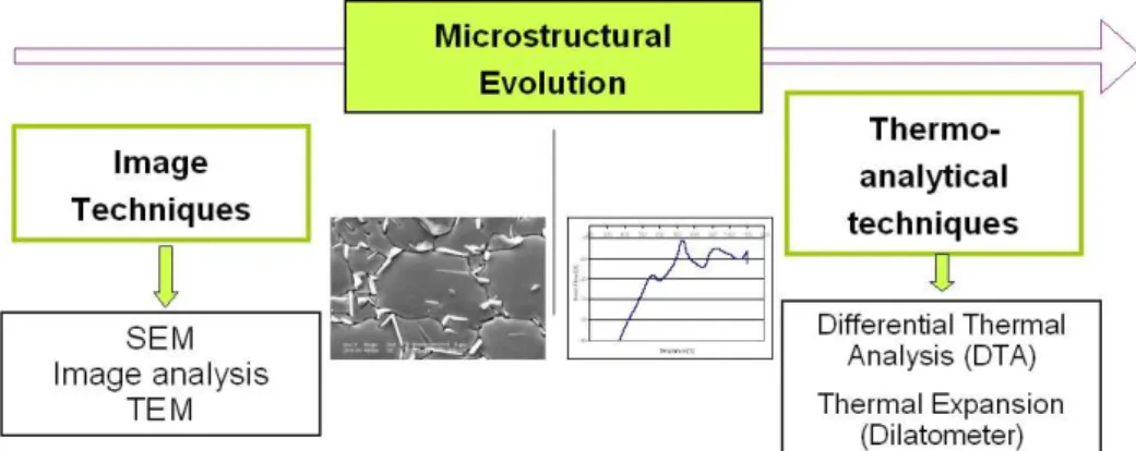 Figure III. 16 : Analytical techniques for the study of structural evolutions. 
