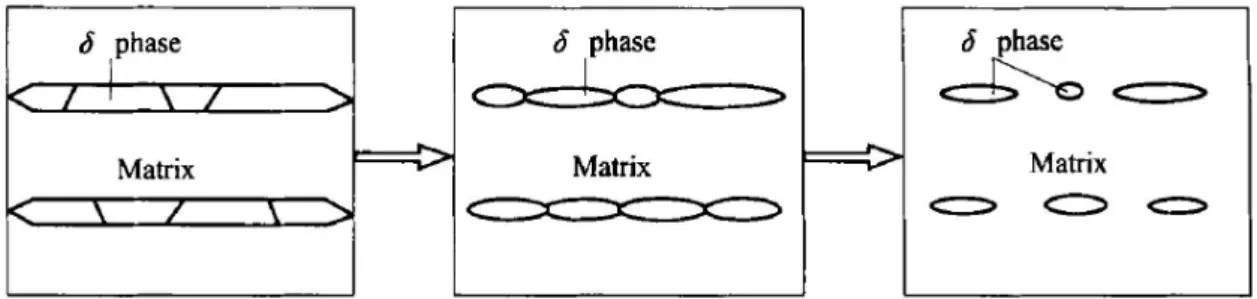 Figure V. 8 : Schematic representation of dissolution and fracture process of δ phase in Inconel 718 [Cai  et al.,2007]