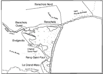 Figure 1.3.  Barachois de la  rivière Malbaie (Favreau, 2006). 