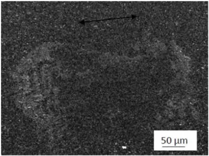 Figure 4.29: Vue générale de la trace sur 7FC2 à charge progressive, essai mené jusqu’à 48 N (δ i = 75 μm, ν = 10 Hz, N = 10 4 cycles).