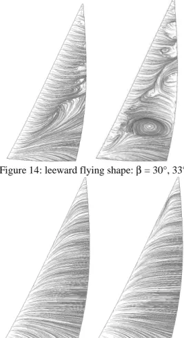 Figure 14: leeward flying shape: β = 30°, 33° 