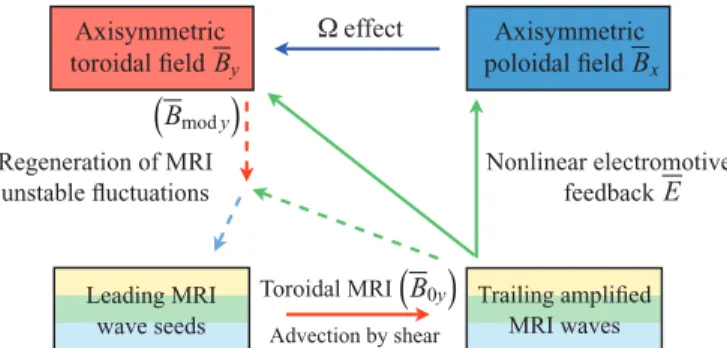 FIG. 2. (Color online) Suggested physical mechanism of the MRI dynamo. Full arrows: main dynamo loop