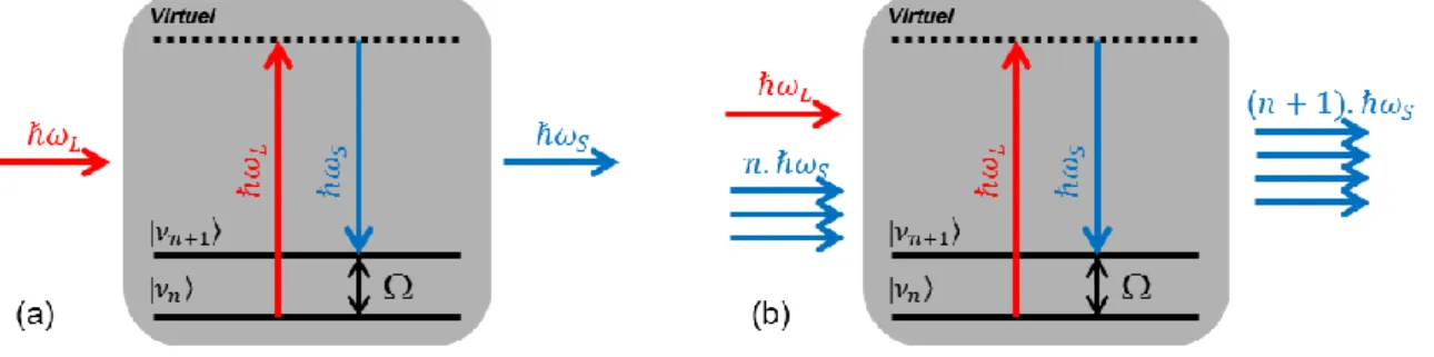 Figure I-8 : Diagramme des niveaux d’énergie représentant (a) la diffusion Raman spontanée Stokes et (b) la  diffusion Raman stimulée Stokes