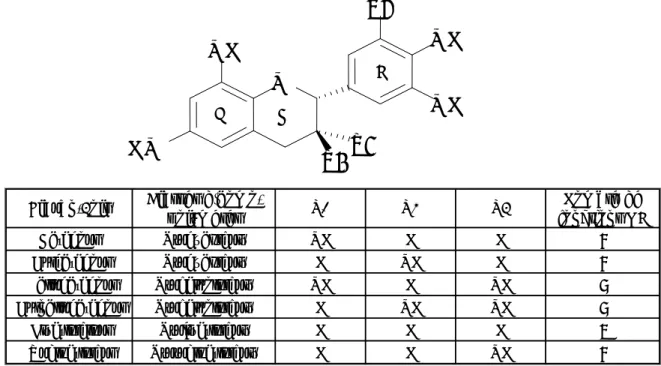 Figure  3.  Structure  chimique  des  différents  flavan-3-ols  et  classes  d’homo-polymères  correspondants