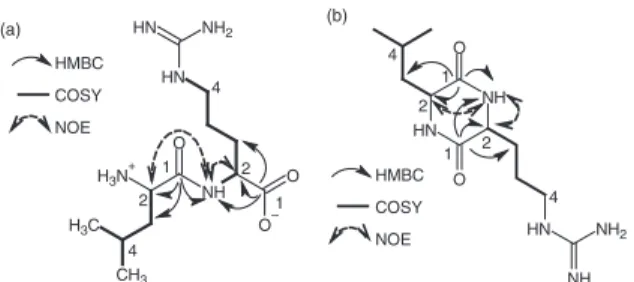 Figure 1. HMBC, COSY and NOE correlations of the two proposed structures (a and b) of compound 1