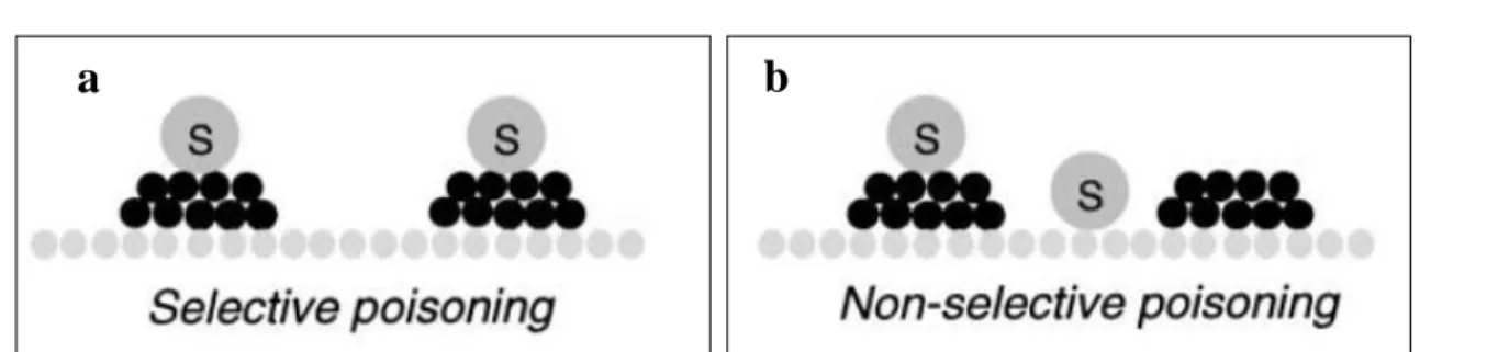 Figure 1.3 Two types of catalyst poisoning: selective to the active phase (a) and non- non-selective to the active phase (b)