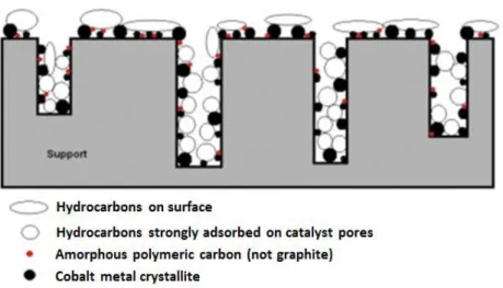 Figure 1.5 Example of surface and pore plugging of different carbon deposition on cobalt  supported catalyst