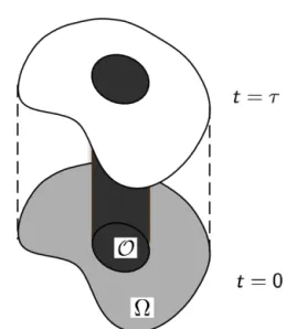 Figure 1: An initial data inverse problem for evolution PDE’s : How to reconstruct the initial state (light grey) for a PDE set on a domain Ω from partial observation on