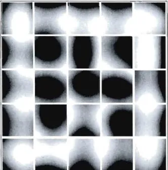 Figure 4.3  Détecteurs  développés  lors  de  l'apprentissage.  Ces  détecteurs  indiquent  à  quelle  information  spatiale  chaque  unité  de  la  couche  d'entrée  est  devenue  sensible  suite  à  l'apprentissage