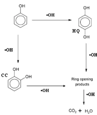Fig. I-17.  Reaction pathway for the wet oxidation of phenol with AC in presence of hydrogen  peroxide