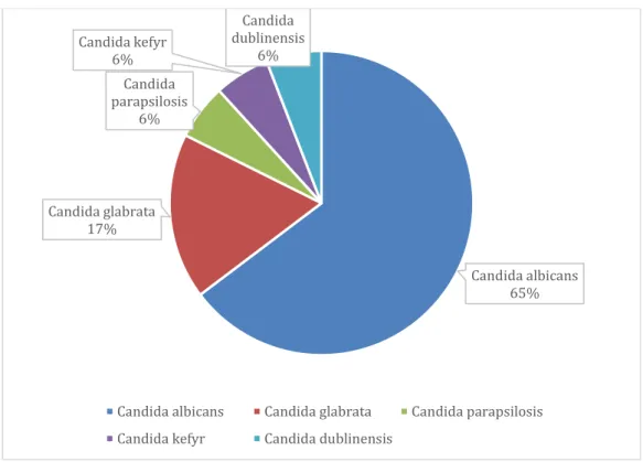 Figure 4. Représentation de la distribution des espèces fongiques pour les IPV à  Candida