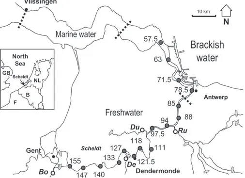 Fig. 1. Map of the Scheldt estuary with OMES sampling stations, designated by their distance, in km, upstream from Vlissingen (mouth)