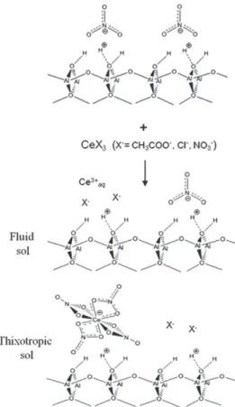 Fig. 8. Schematic illustration for nitric acid peptised boehmite before and after introduction of cerium salt in solution.
