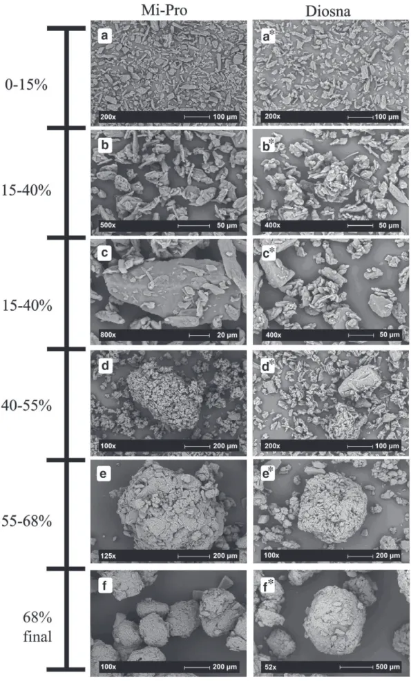 Fig. 16. Growth mechanisms on the Mi-Pro (a–f) and Diosna (a*–f*) HSM for the Lactose/MCC 7/3 formulation.