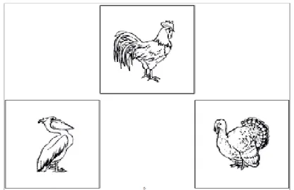 Figure 9 : Exemple d'une planche d’appariement sémantique de la BETL pour l'item coq