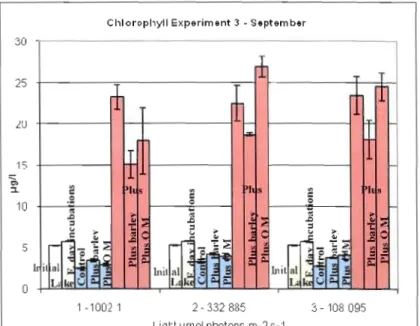 Figure 8.  Chlorophyll  a concentration  for  different treatments  in  experiruent 3 - September  2007 