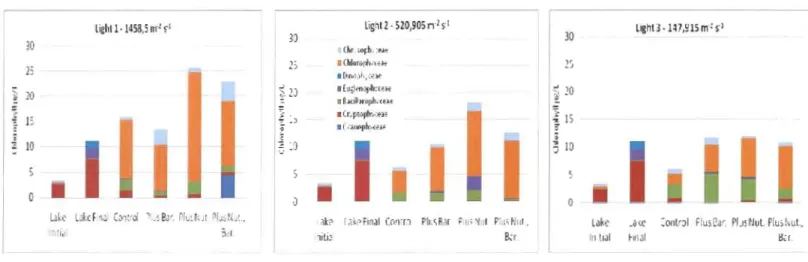 Figure 9.  Distribution ofmajor algal classes at different light levels for  incubation experiment  1 - June 2007 