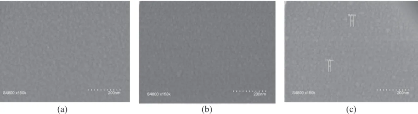 Fig. 3. SEM micrograph of thin films 