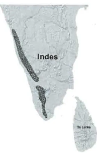 Figure  1.2  Aire de répartition  actuelle du macaque à  queue de  lion  (IUCN, 2007)