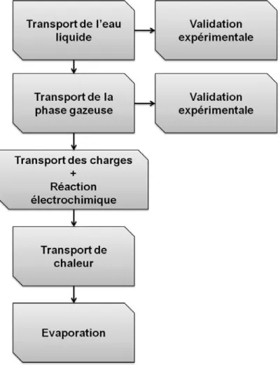 Figure 1.24 Schéma récapitulant les principales étapes du développement du modèle de la CCL