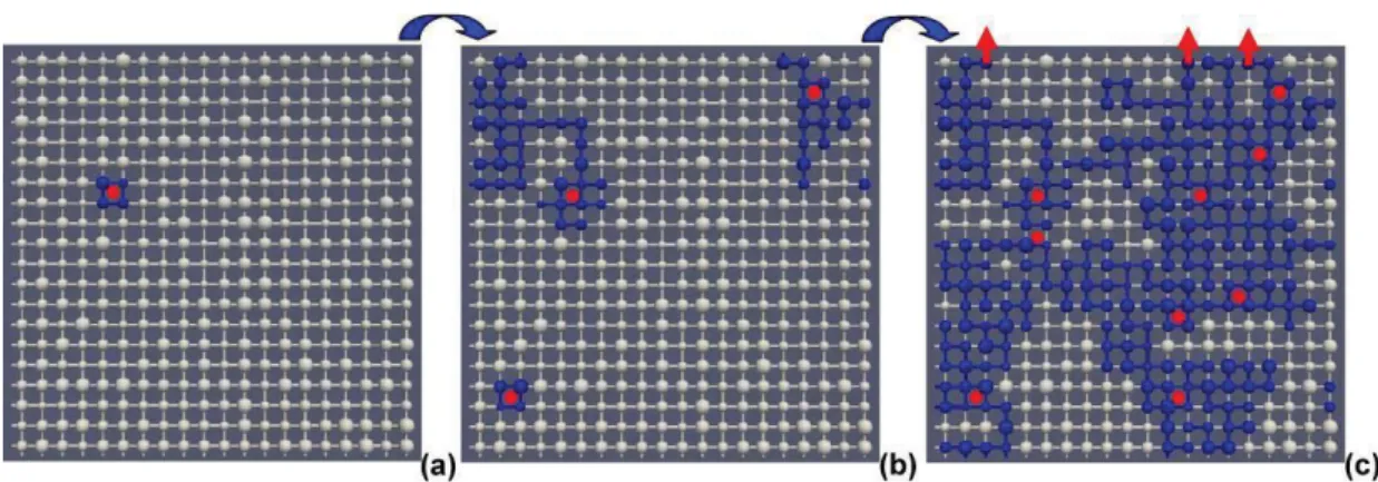 Figure 2.5 Les images (a) (b) et (c) représentent des étapes successives de l’invasion d’un réseau 2D  par de l’eau liquide (en bleu) simulée avec l’al gorithme séquentiel