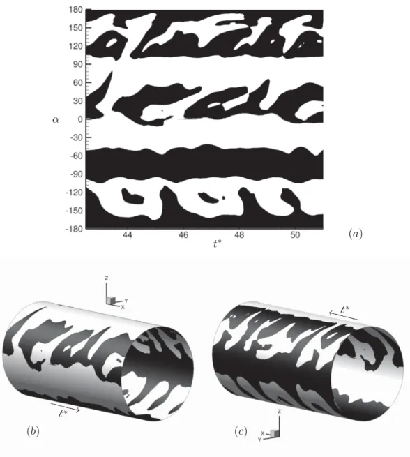 Figure 6.15 – Iso-contour de vorticité instantané perpendiculaire au plan de l’écoulement nulle (Ω z = 0) en fonction du temps et de l’angle α (a), représentations tridimensionnelles des zones collées (blanc) et décollées (noir) en fonction du temps (b) et