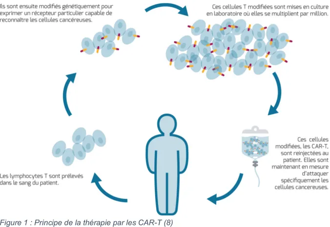 Figure 1 : Principe de la thérapie par les CAR-T (8) 