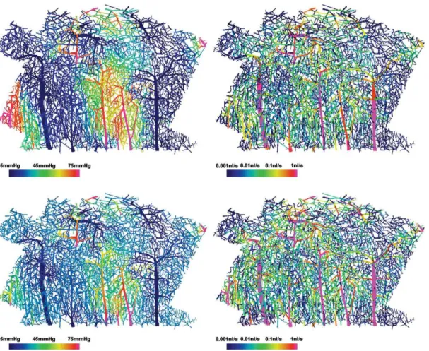 Fig. 3. Spatial distributions of baseline pressure (left column) and ﬂow rate (right column) for zero ﬂow (Case 1) BC (ﬁrst row) and assigned pressure (case 2) BC (second row) and H in = 0.4