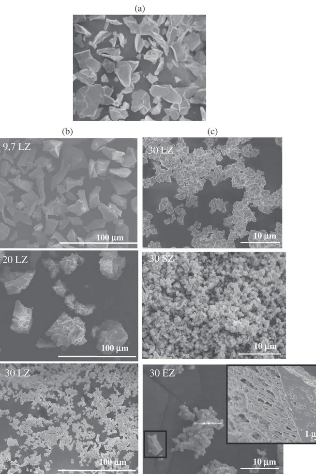 Fig. 4. SEM micrographs of the (RE-Y) zirconia powders calcined at 950 °C: (a) YSZ powder — (b) inﬂuence of the doping content on the microstructure of LZ powders — (c) inﬂuence of the nature of the doping on the microstructure of RE zirconia powders.